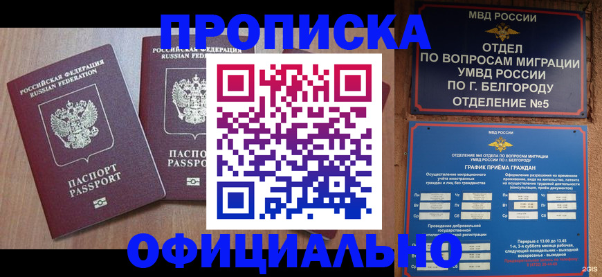 найти адрес прописки в Чехове